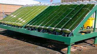 ΧΑ: Ολοκληρώνεται η ΑΜΚ της Algae Farms